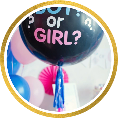 Gender Reveal Party Decorazione, Baby Gender Reveal Party
